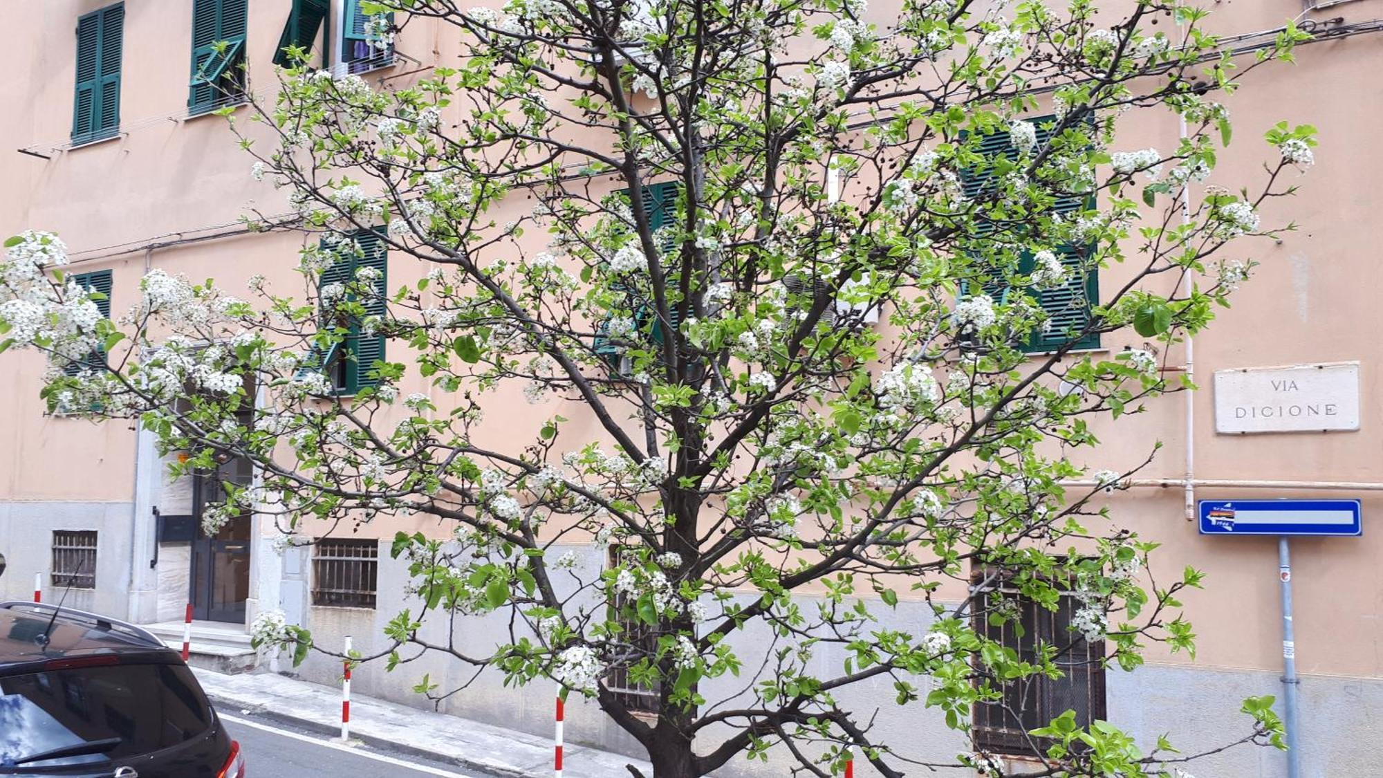 Ca'Saetta Bnb Holiday Home - Park & Go To Genoa Aquarium And Old Town Exterior photo